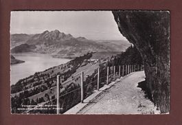Felsenweg bei RIGI-FIRST