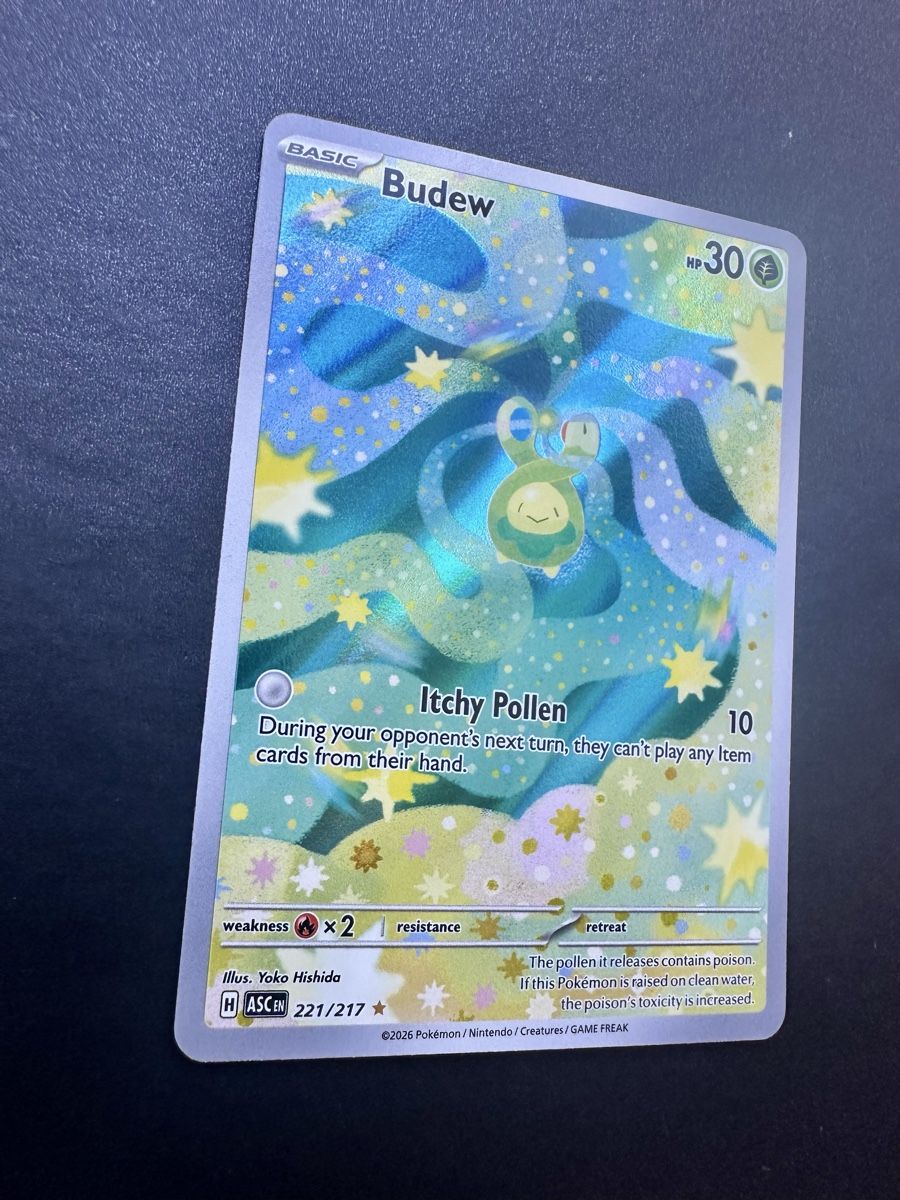 Pokémon Carte collezionabili: Budew #221 - Ascended Heroes - Ab 1.- CHF! – Usato da Bern venduto da HugoStiglitz11 1