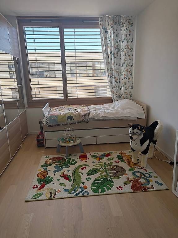Giocattoli: Peluche Steiff Studio Husky 80 cm – Usato da Genève venduto da SophieR539 3