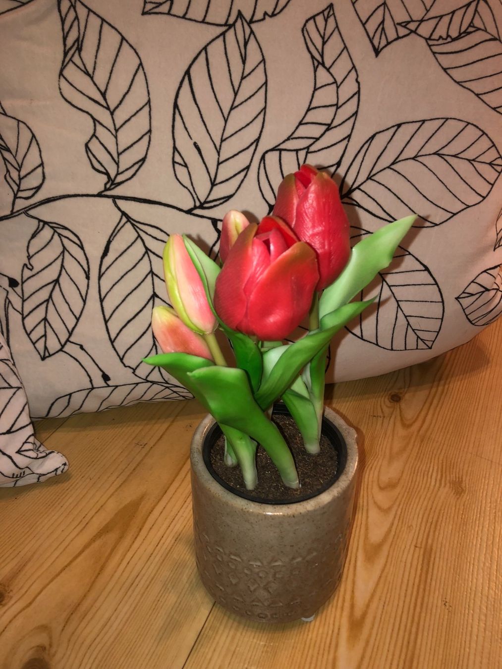 Piante & sementi: Fausses tulipes – Usato da Bulle venduto da sop_ct6x
