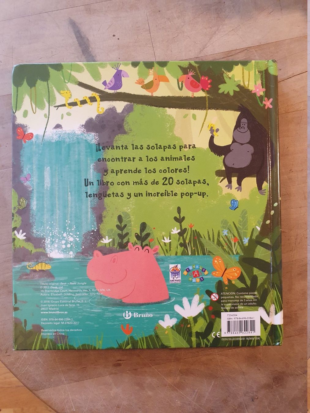 Livres: Asomate a la Selva - Spanisch – D'occasion à Zürich par loosebone 3