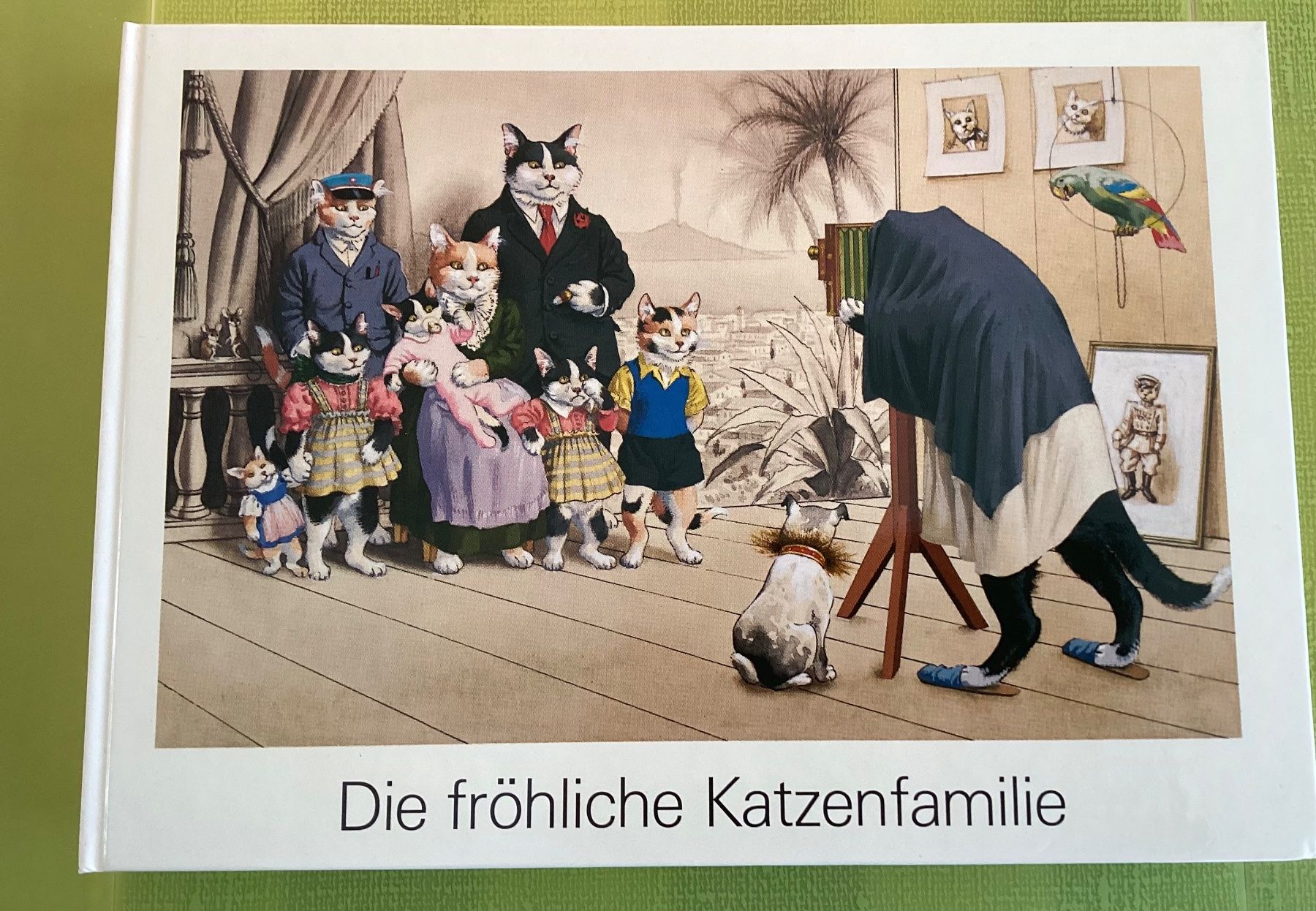 Libri: 4 Kinderbücher / Katzengeschichten / Katzenschule – Usato da Beinwil am See venduto da kae_gh7c 2