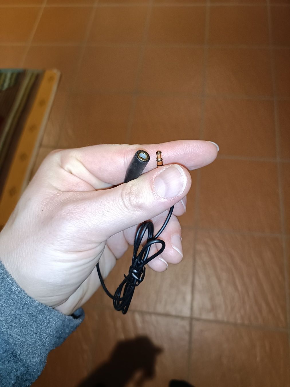 Unità & Adattatore: Aux In Adapter und IR Extender Cable – Usato da Obfelden venduto da Kirinki 1