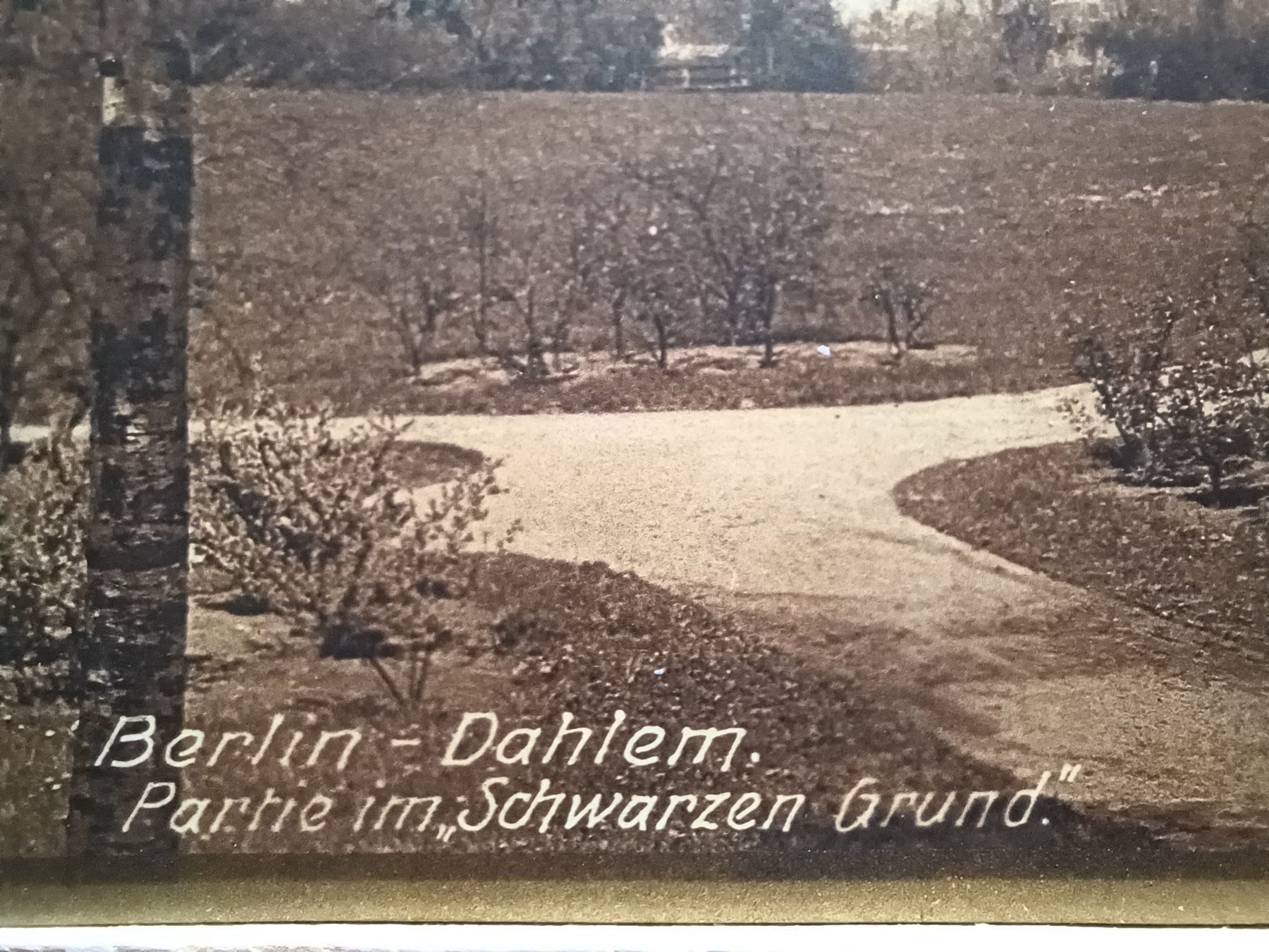 Cartoline postali: Nr.92, Postkarte Berlin-Dahlem, "Bromogold" – Usato da Aarau Rohr venduto da mgvw 1