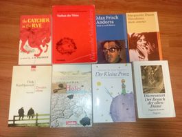 Schulliteratur Bücher Bundle