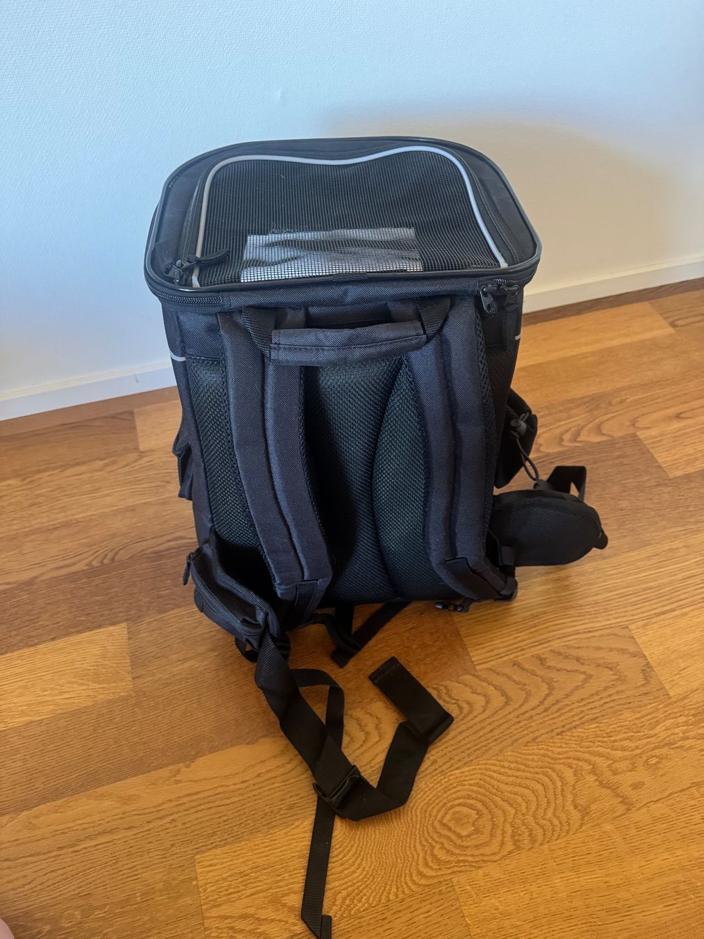 Rucksäcke: Hunderucksack / Katzenrucksack – Neu (gemäss Beschreibung) aus Remigen von cociii 1