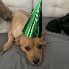 Profile image of Lilla2