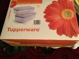 Tupperware Behälter zum einfrieren