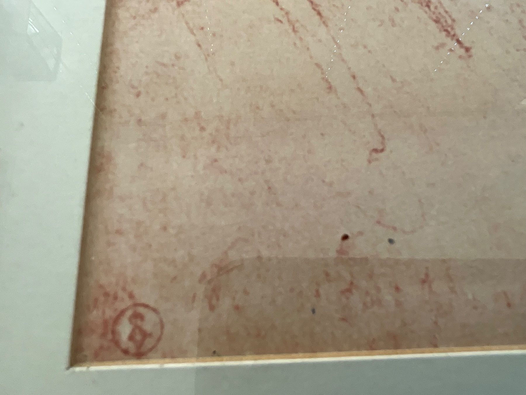 Foto & Immagini: Kunstdruck Leonardo da VinciSelbstportrait ca. 45 x 32cm – Usato da Basel venduto da elster1986 3
