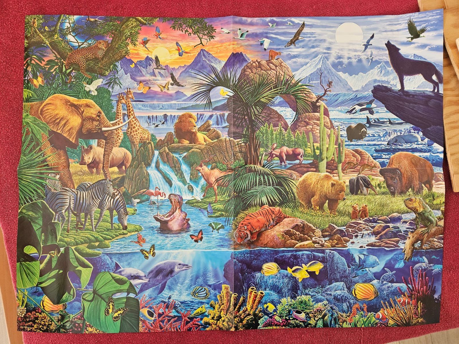 Puzzle: Puzzle 5000 – Usato da Erlinsbach venduto da LindaK0102 1