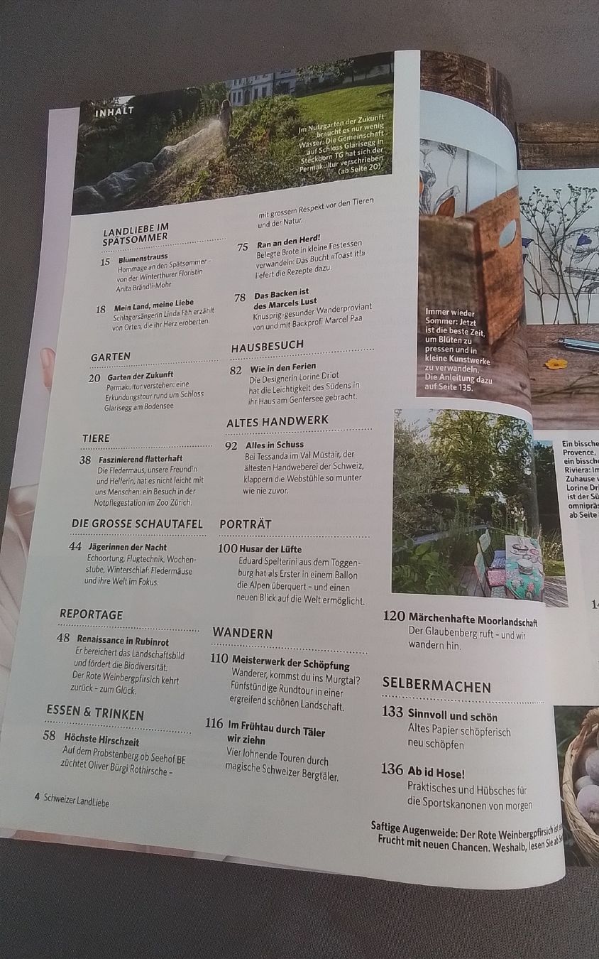 Riviste & Magazine: Schweizer Landliebe, Spätsommer 2023 – Nuovo (secondo la descrizione) da Würenlingen venduto da puntala 1
