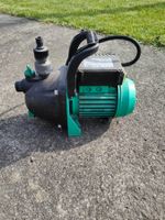 Wasserpumpe - Gartenpumpe -Hauswasserpumpe - Marina 800W –