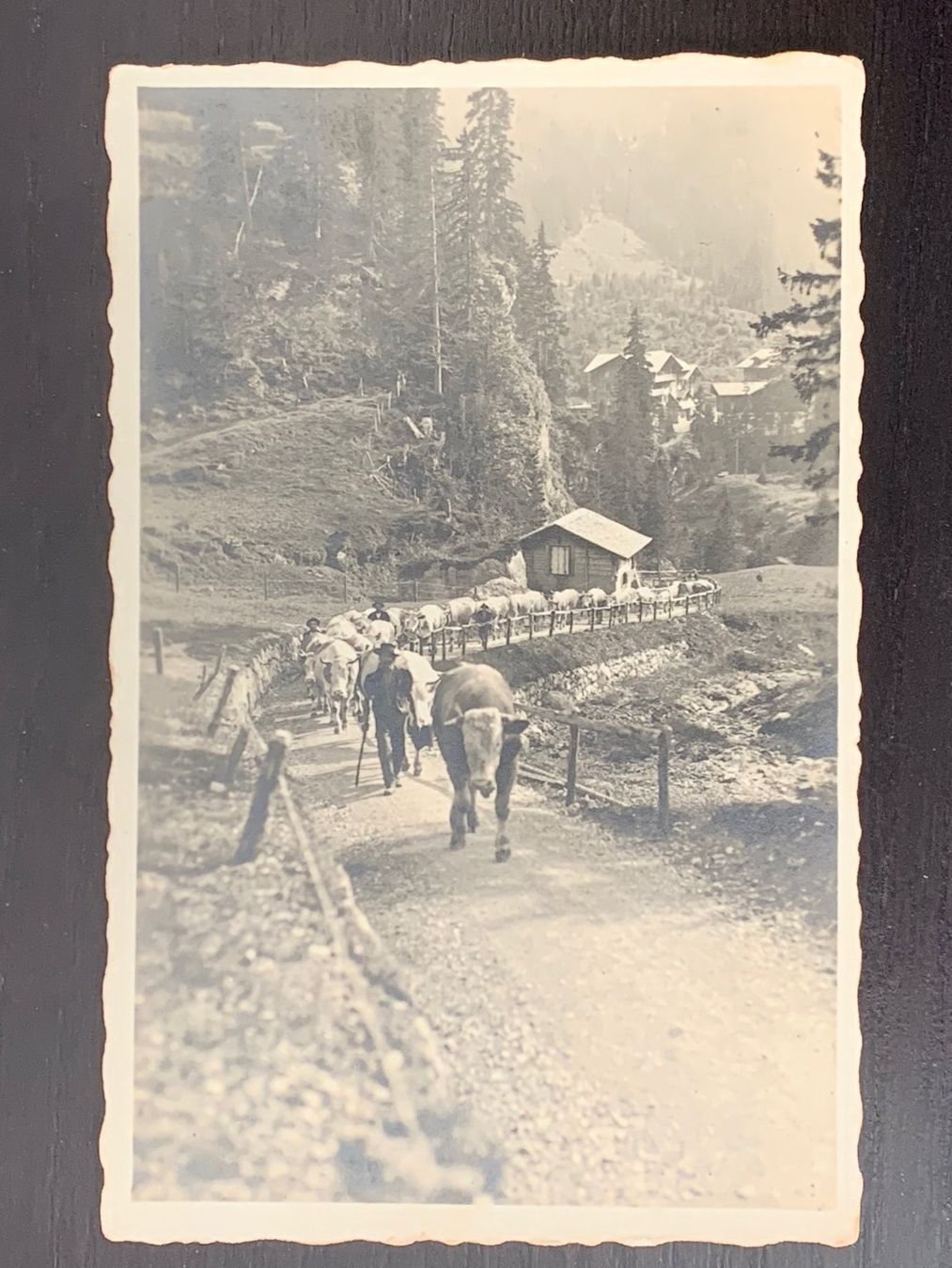 Tutti i francobolli: Zeppelinpost, 1929, Zst. F11 – Usato da Wangen b. Olten venduto da 66ard 1