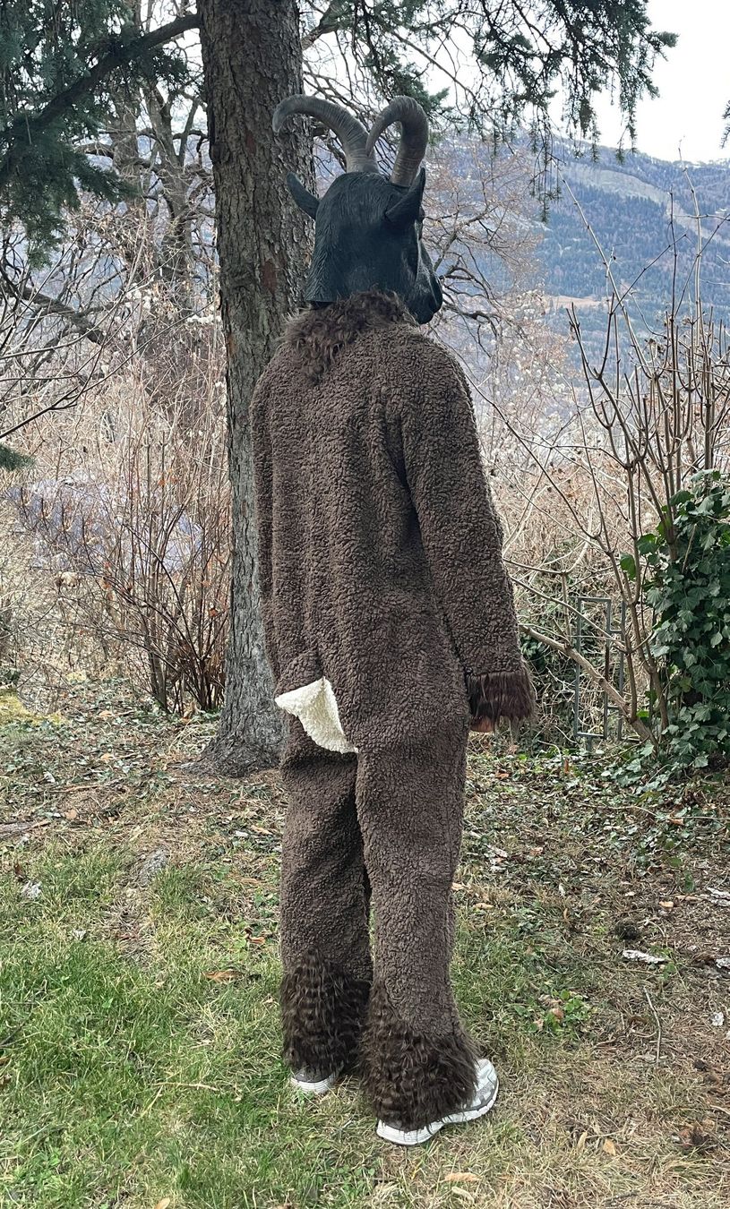 Costumi: Steinbock-Kostüm Braun – Nuovo (secondo la descrizione) da Chur venduto da elifor 3