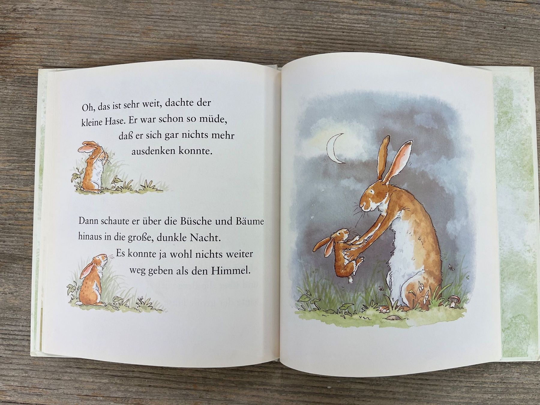 Libri: Weisst du eigentlich, wie lieb ich dich hab? Copyright 1994 – Usato da Pfäffikon ZH venduto da buresi 9