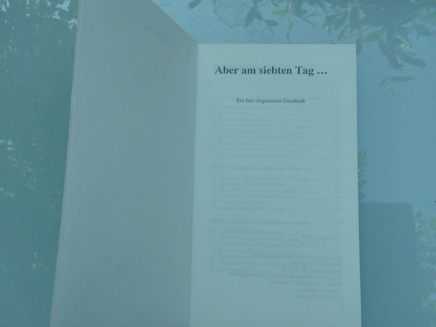 Libri: Aber am siebten Tag.... - Ein fast vergessenes Geschenk – Nuovo (secondo la descrizione) da St. Gallen venduto da elk2020 2