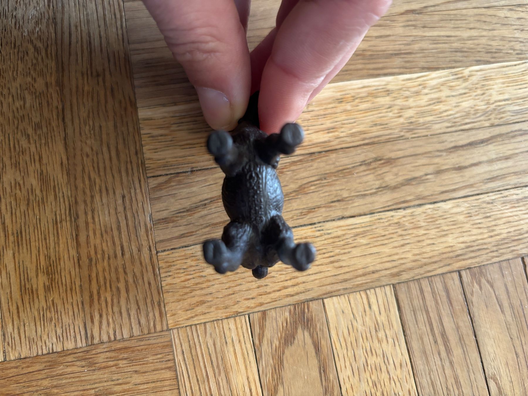 Schleich Giocattoli: Schleich Ziege 🐐 – Usato da Tägerwilen venduto da mar_87t5 2
