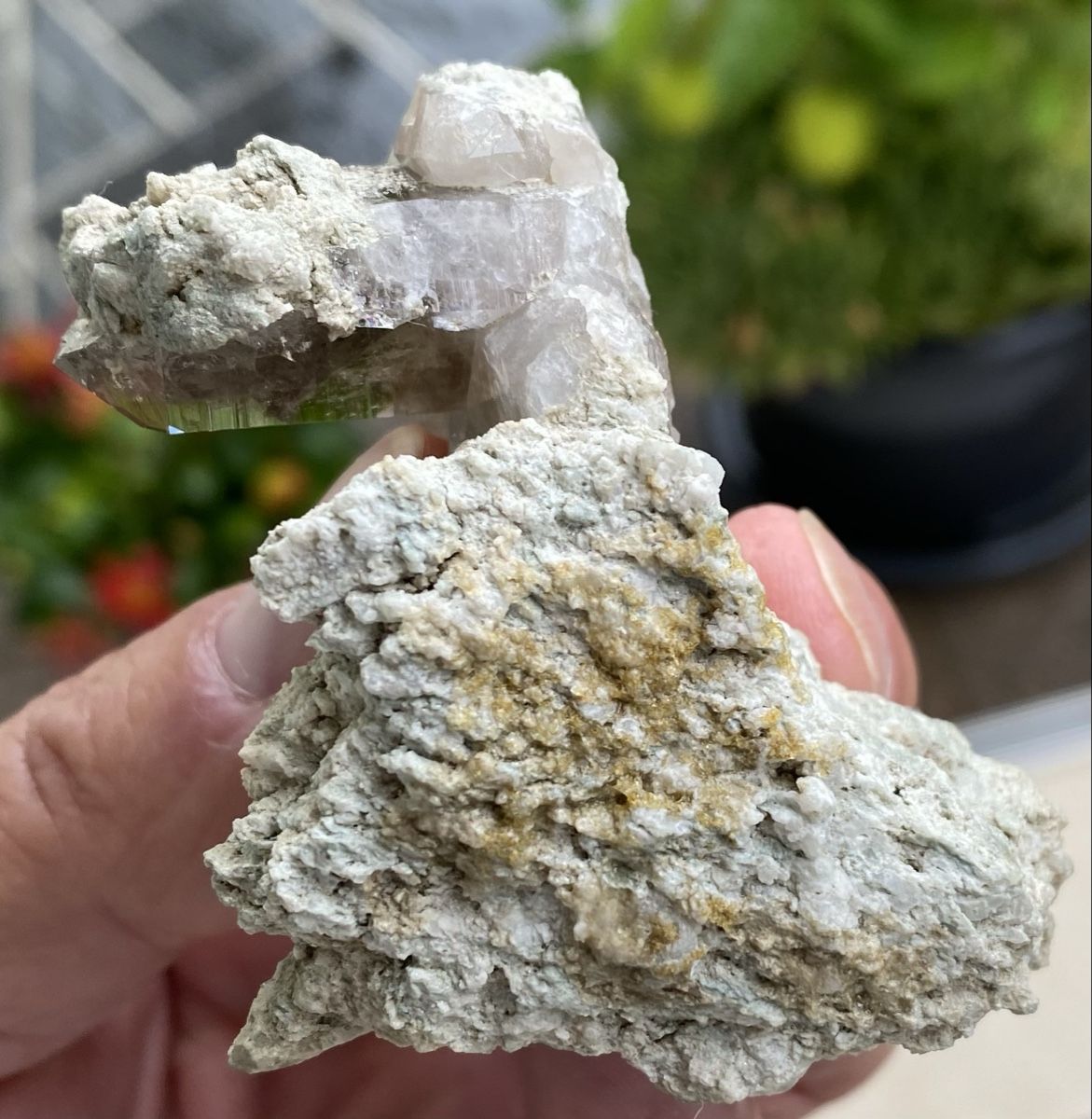 Minerali & Pietre curative: Spezieller Rauchquarz vom Grimsel  – Usato da Selzach venduto da 321compac 9
