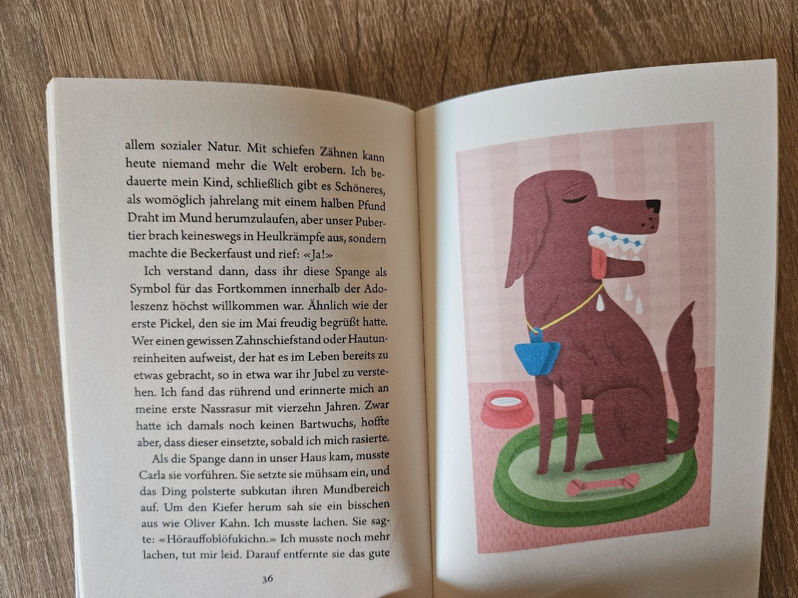 Bücher: Jan Weiler :  Das Pubertier (2014) – Gebraucht aus Ebikon von SecondChance_byM 3