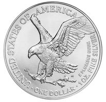 USA American Eagle 2025 1 oz Silber
