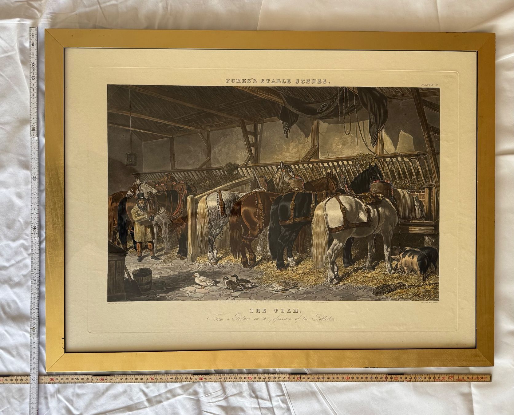 Foto & Immagini: "Fores's Stable Scenes - The Team" Kunstdruck – Usato da Lachen SZ venduto da rs_73
