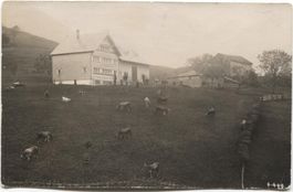LANDWIRTSCHAFT/BAUERNHAUS/WEBERHAUS 1910 mit Kuh AR?