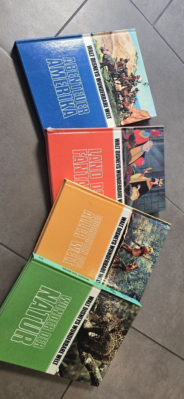 Libri: Walt Disney Wunderbare Welt Buchbox – Usato da Egerkingen venduto da bea_rxm7 3