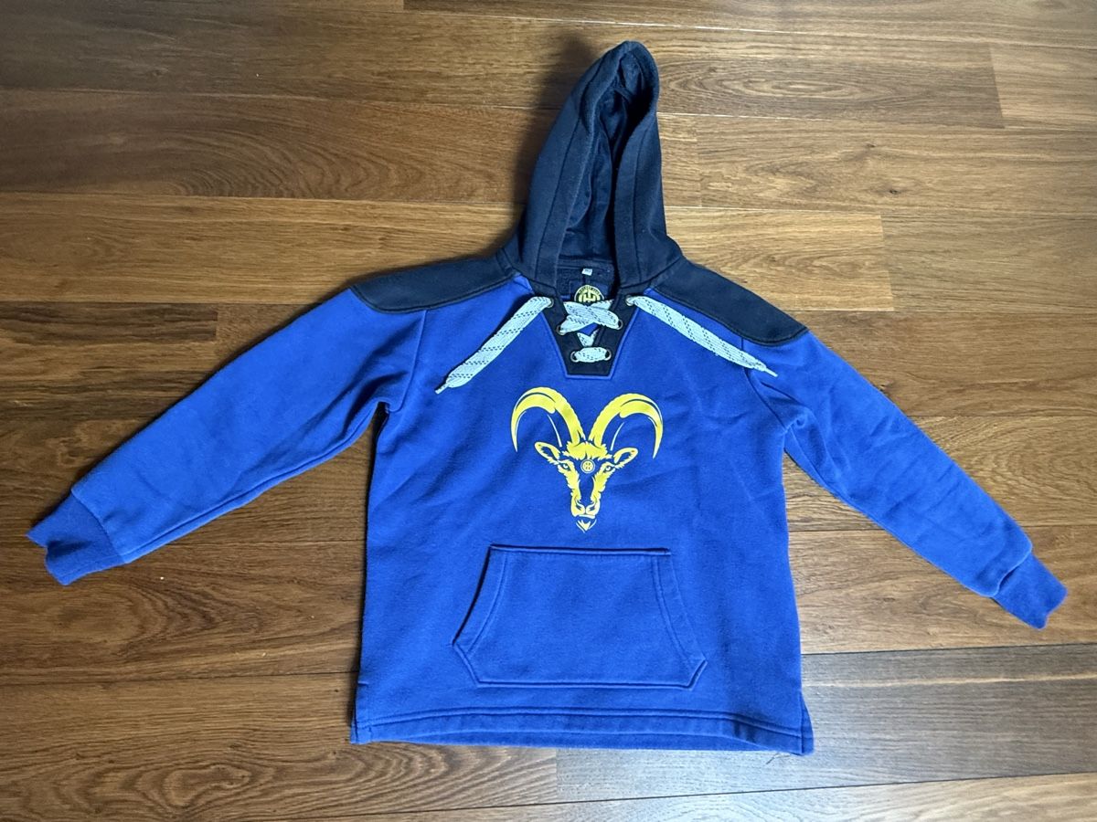 Maglioni & Felpe: HCD Hoodie Gr. 152 – Usato da Wiedlisbach venduto da Stoff76