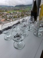 10 Weingläser zum Degustieren