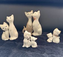 Vier Katzen Paar