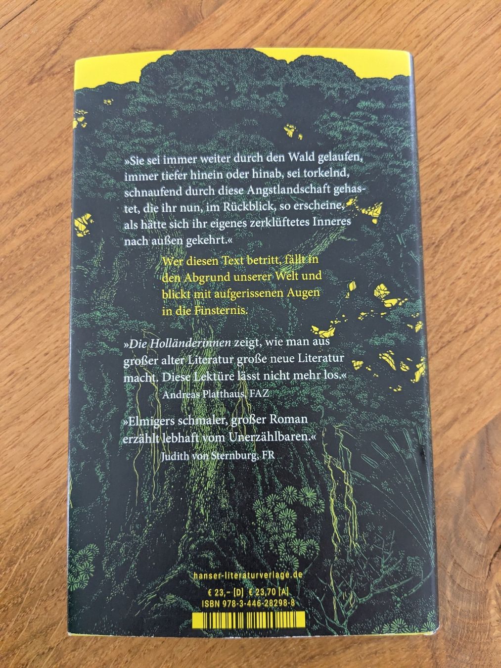 Libri: Dorothee Elmiger: Die Holländerinnen  – Usato da Wohlen AG venduto da merkur0300 1