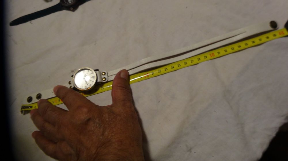 Montres: EEQ FÜR HONDE GRÖÖSE NEU UHRQUARTZ.LÄÜFT--35X50MM – D'occasion à zürich par ahmad01 2