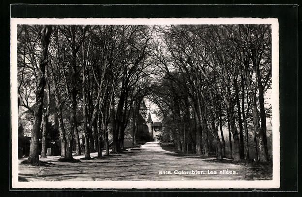 Cartoline postali: AK Colombier, Les allées – Usato da Berlin venduto da bartko-reher