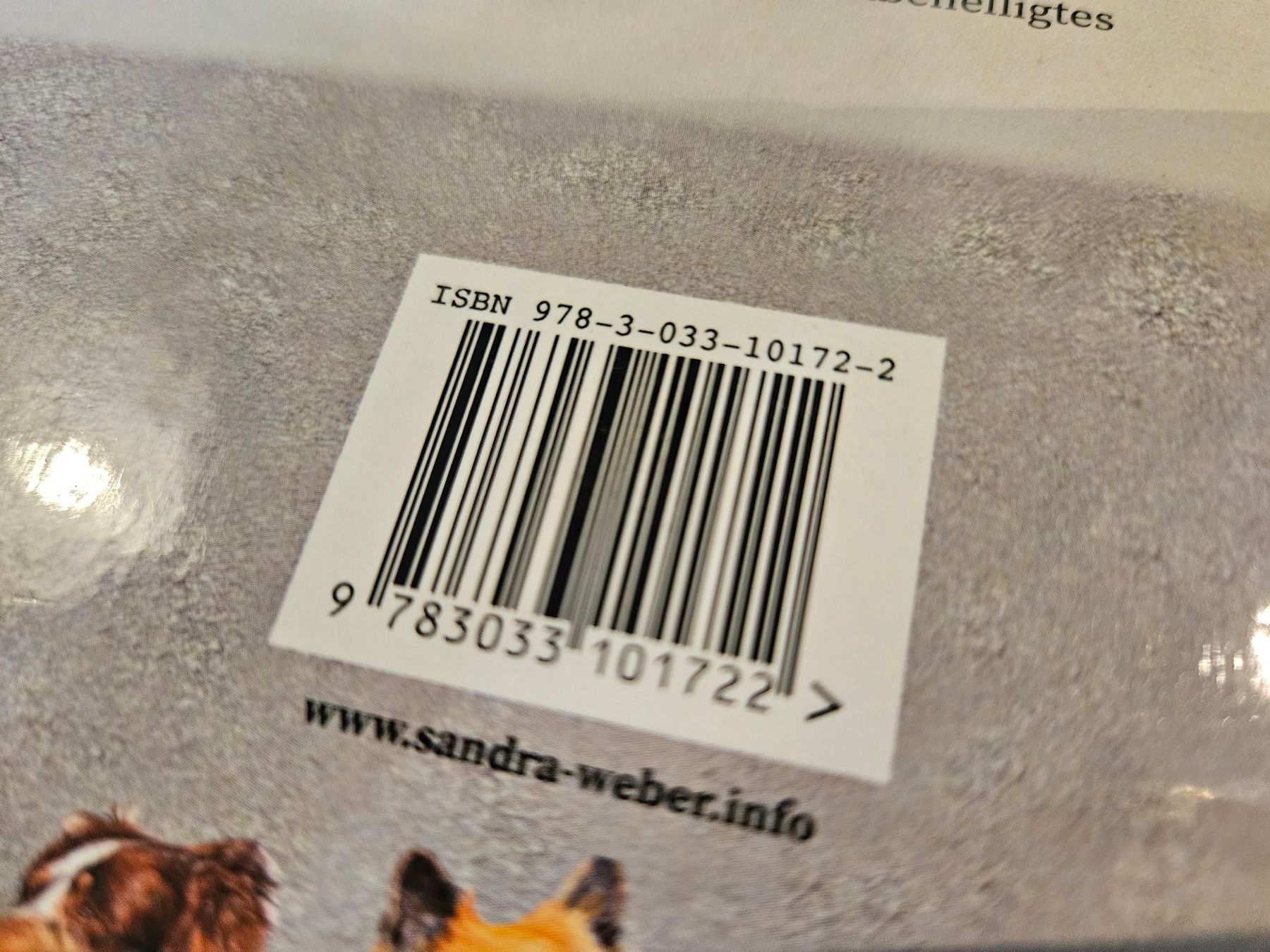 Libri: Buch "Das Hofhunde-ABC" von Sandra Weber – Usato da Oberstammheim venduto da iumb 3