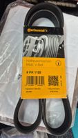 Continental Multi V-Belt 6 PK 1120 - New! Top Offer!