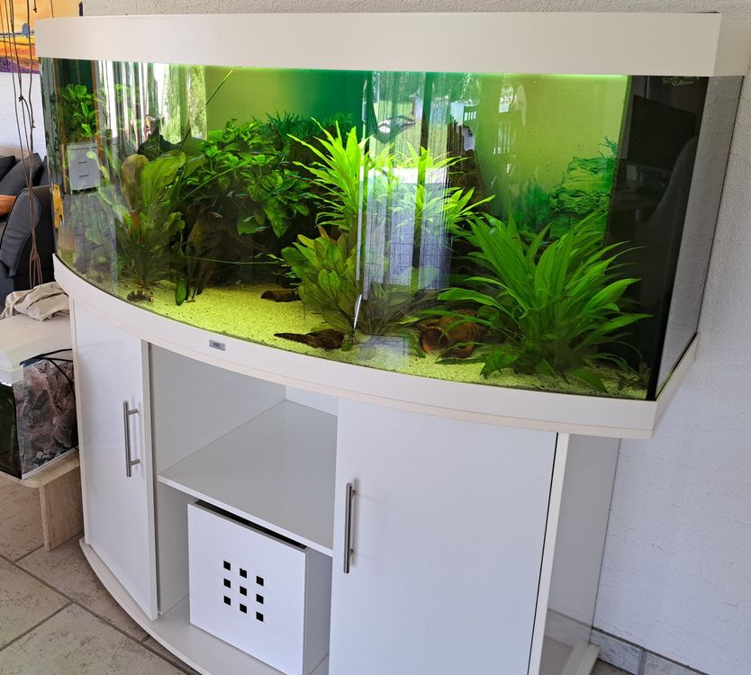 Schwarzer Aquarium-Sand - Dekorativer Kies Für Fische & Garnelen