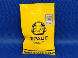 Pop Mart Mega Space Molly Micro Grain Special Foil