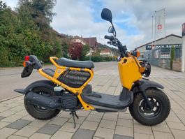 Honda NPS 50 Zoomer PGM - FI      Kat. F 45 Kmh gelbe Nummer