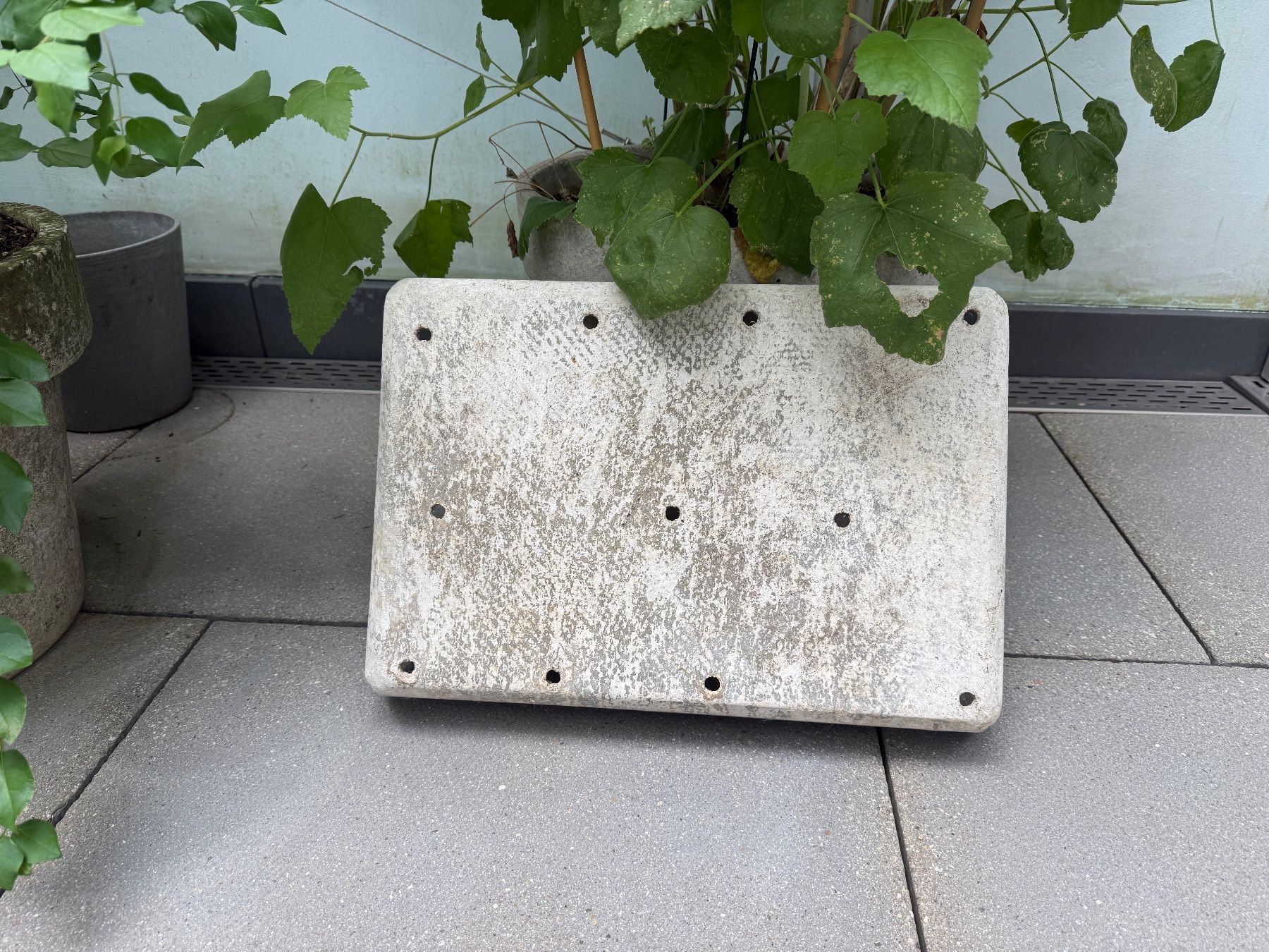Eternit Pots de fleurs: Pflanztrog Pflanzgefäss Eternit Saatschale – D'occasion à Zürich par Meratnas 1