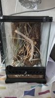 terrarium 