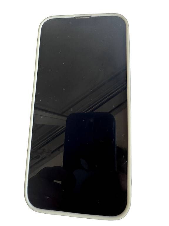 Handys / Smartphones: iPhone 13 Vert 128 Go  – Gebraucht aus Grand-Lancy von lol1970 2