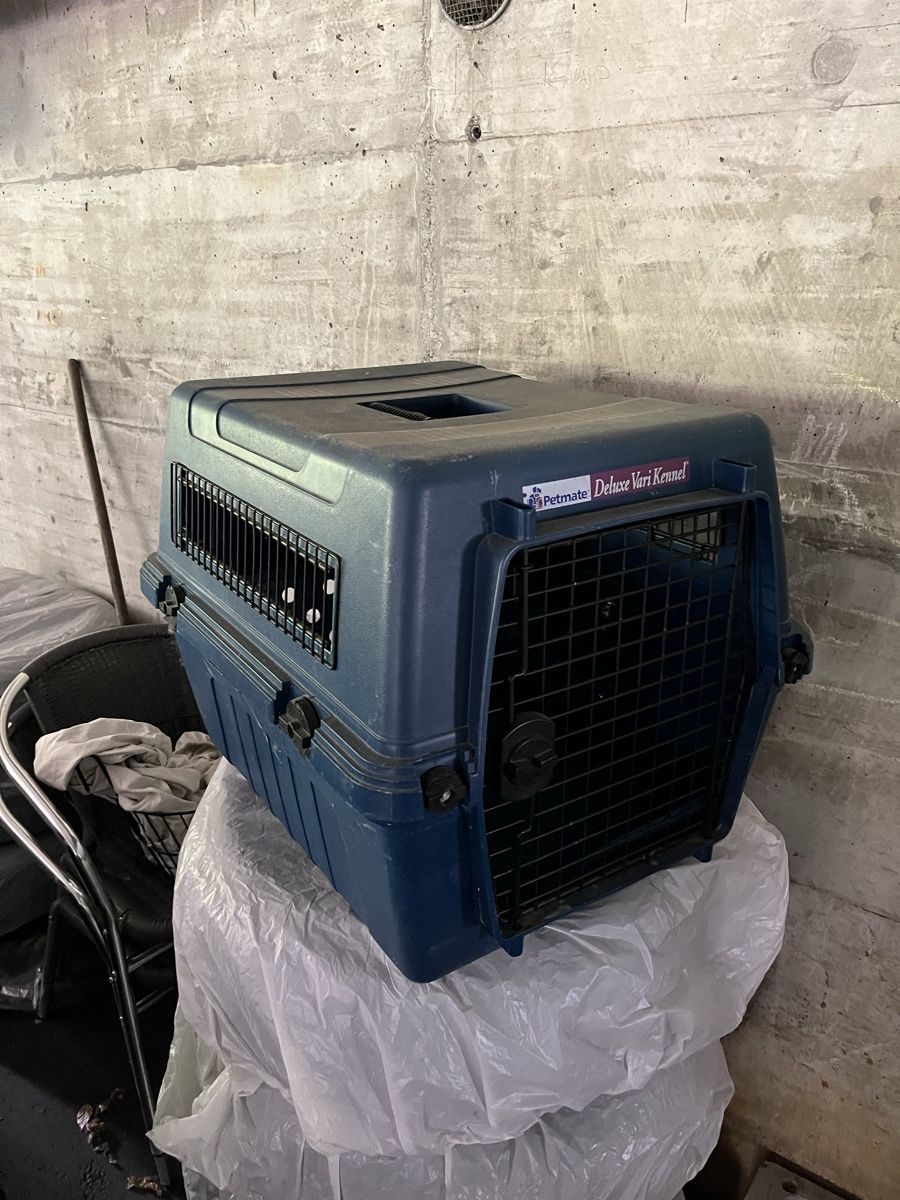 Käfige, Transport & Sicherheit: Hundetransportbox – Gebraucht aus Flamatt von Cyril.I