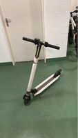  E-Scooter für den Sommer