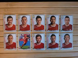 10 X Panini WM Brasil 2014 Sticker Schweizer Spieler