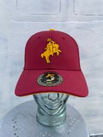 New 2K10 Cap Winterthur Warriors American Football