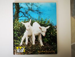 Tolles Tierkinder Buch von BEA-Rolk-Verlag AG, Top Zustand!