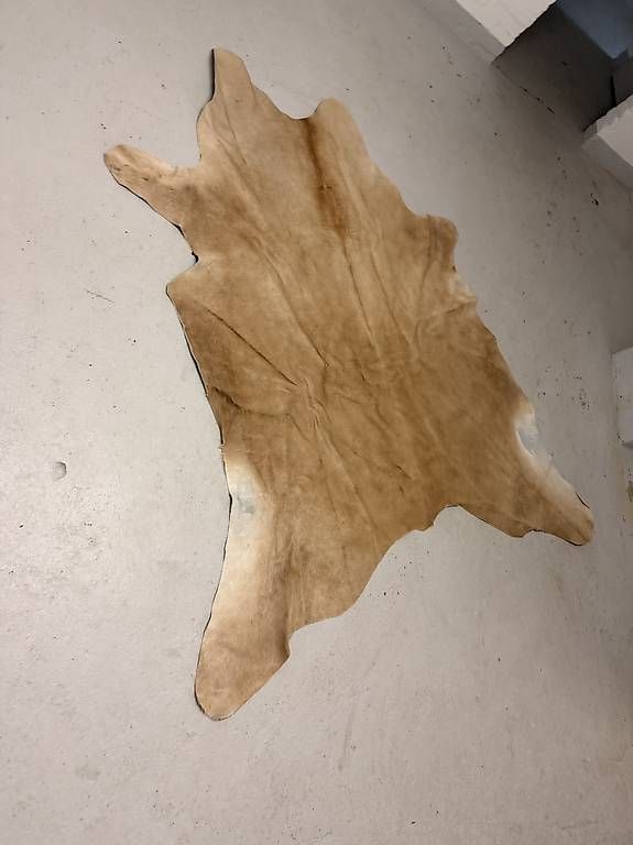 Tappeti: Rinderfell Teppich Kuh Fell braun Boho Ibiza Chic – Usato da Wallisellen venduto da bid_sbr9 1