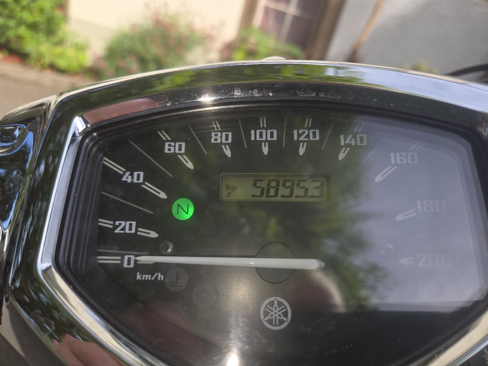 Yamaha Scooter: Yamaha XVS 1300 CU  Cruise – Usato da Wil venduto da Jauch03 1