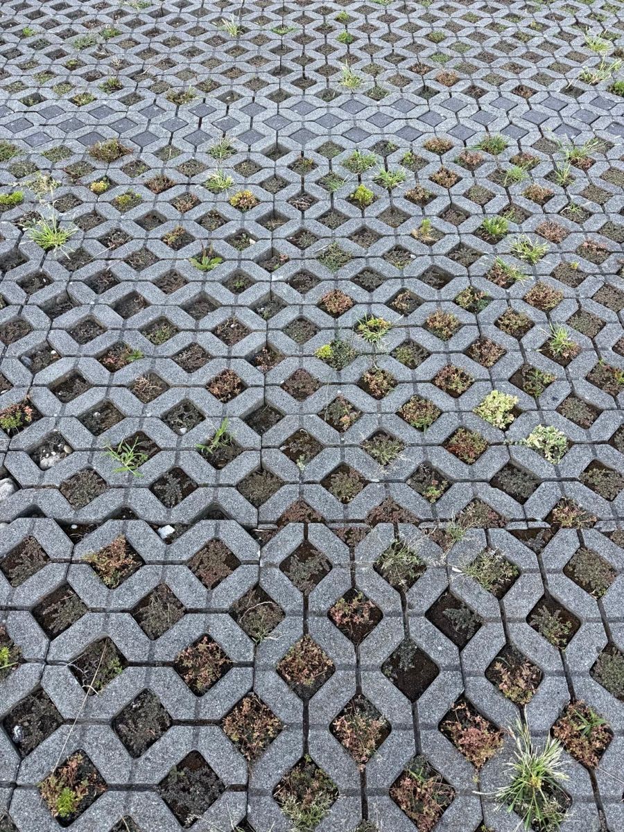 Pietre & tegole: Rasengittersteine ca. 130m2 – Usato da Oberbuchsiten venduto da DoppioEspresso