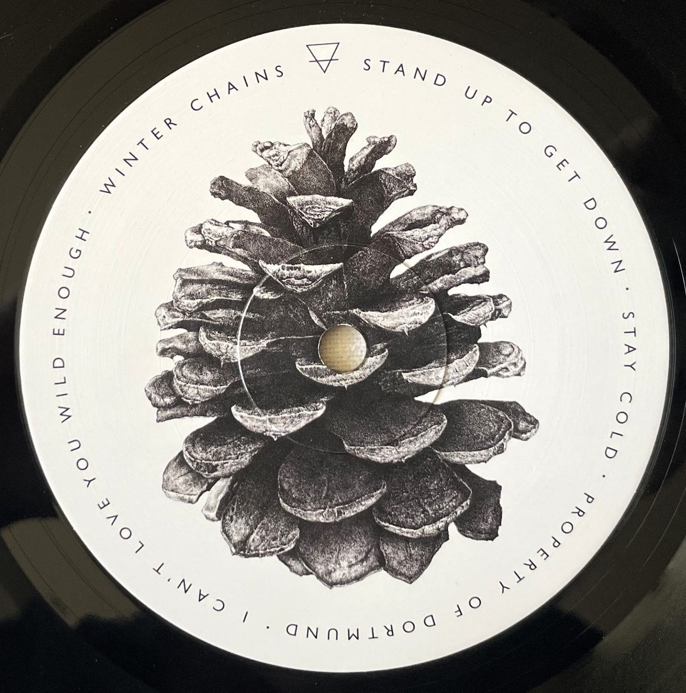 Dischi in vinile: Wolves Like Us – Brittle Bones - LP - 2019 - First Press – Nuovo (secondo la descrizione) da Uster venduto da Zardodel 4